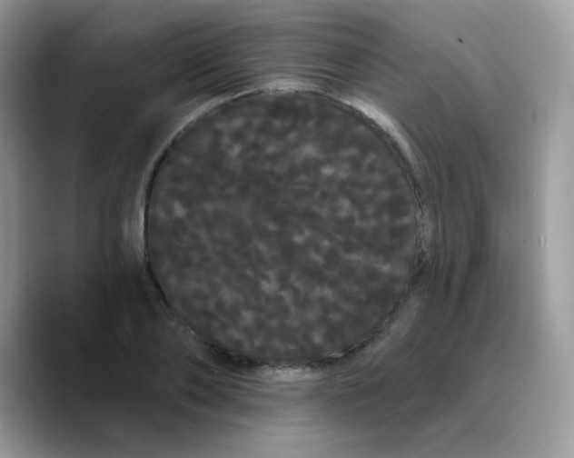 X0000089760886200707201940