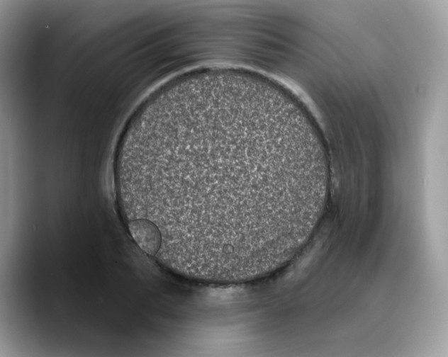 X0000089760887200707201940