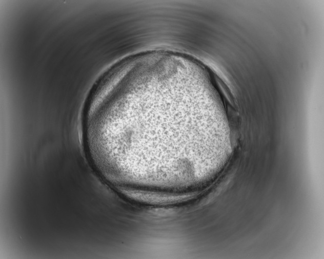 X0000089760888200707201940