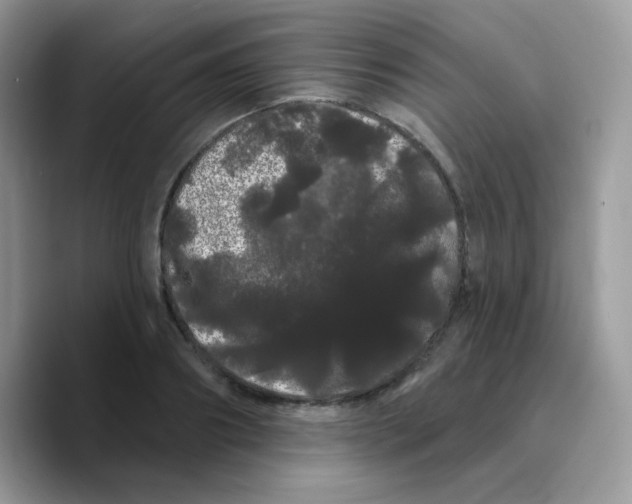 X0000089760890200707201940
