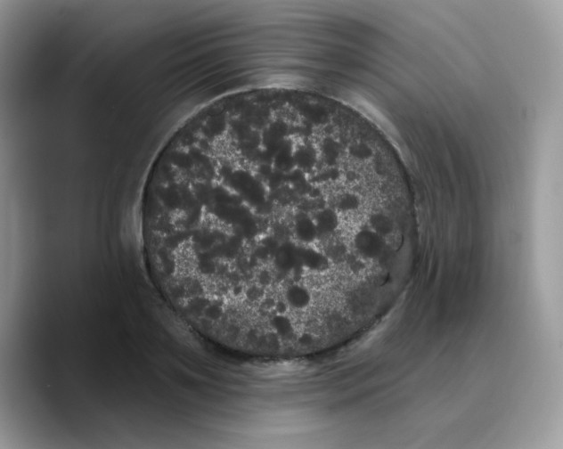X0000089760891200707201940