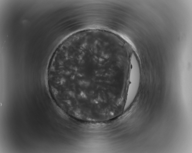 X0000089760895200707201940