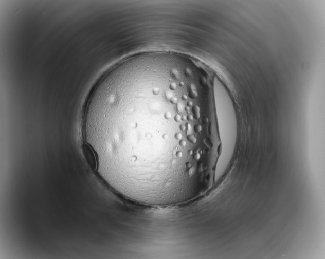 X0000089760896200707201940
