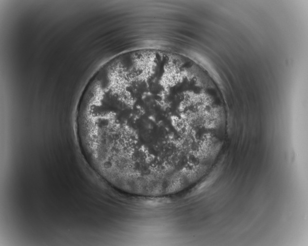 X0000089760899200707201940