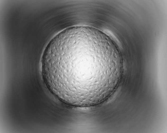 X0000089760900200707201940