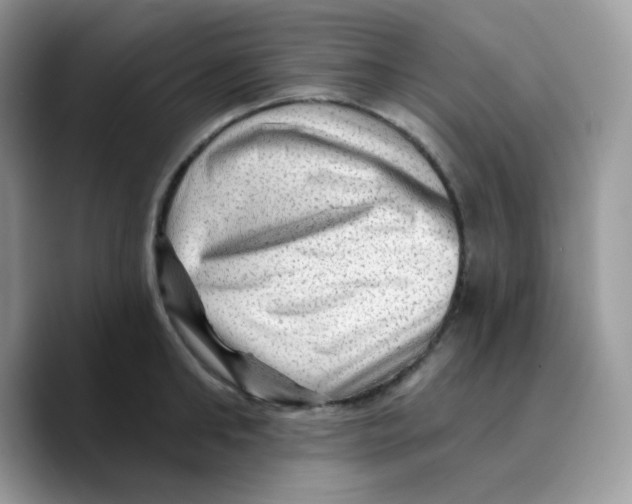 X0000089760902200707201940