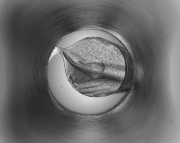 X0000089760905200707201940