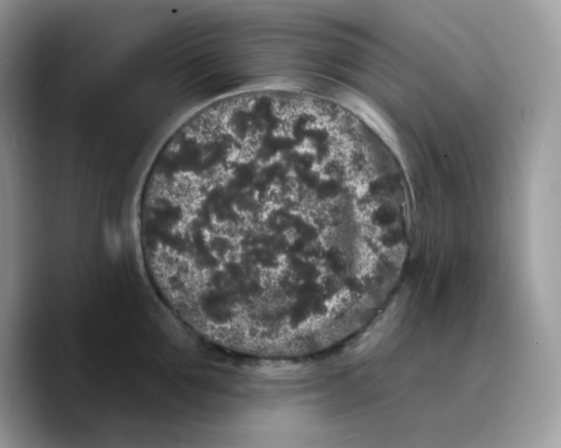 X0000089760907200707201940