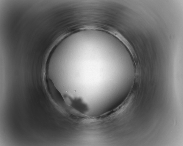 X0000089760909200707201940