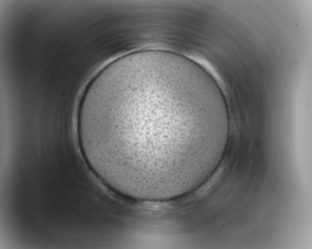 X0000089760910200707201940