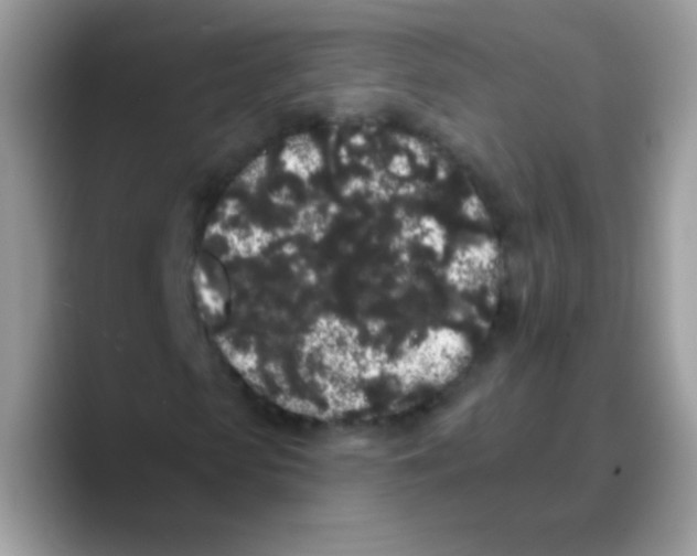 X0000089760913200707201939