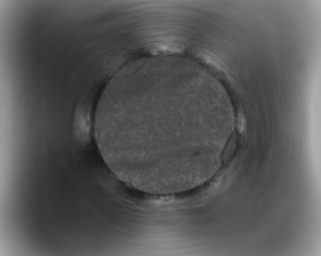 X0000089760915200707201939