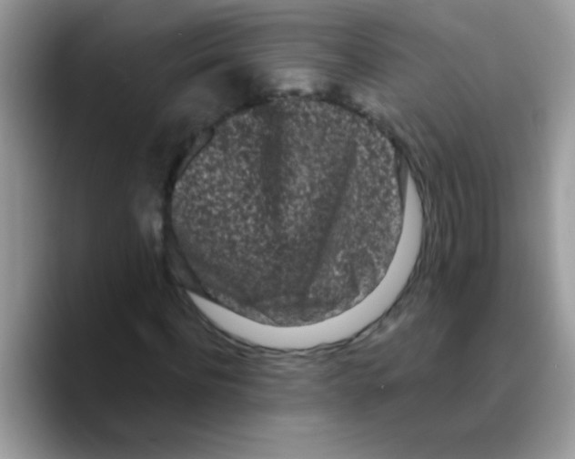 X0000089760916200707201939