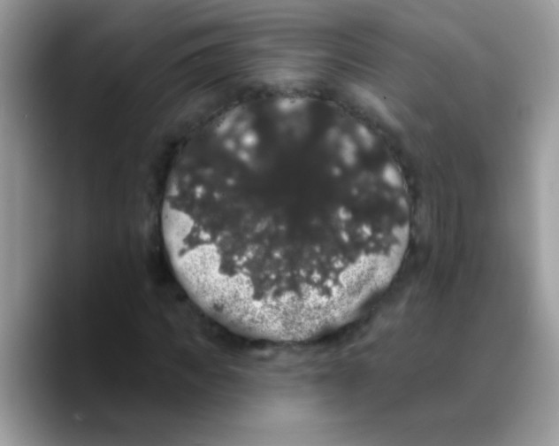 X0000089760917200707201939