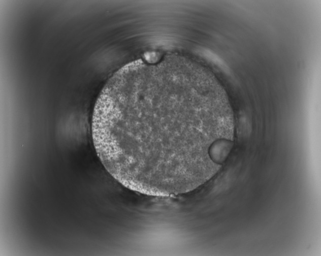 X0000089760918200707201939