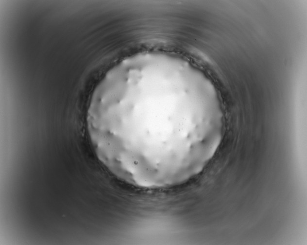 X0000089760919200707201939