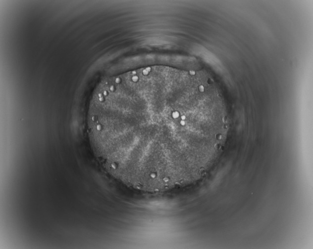 X0000089760920200707201939