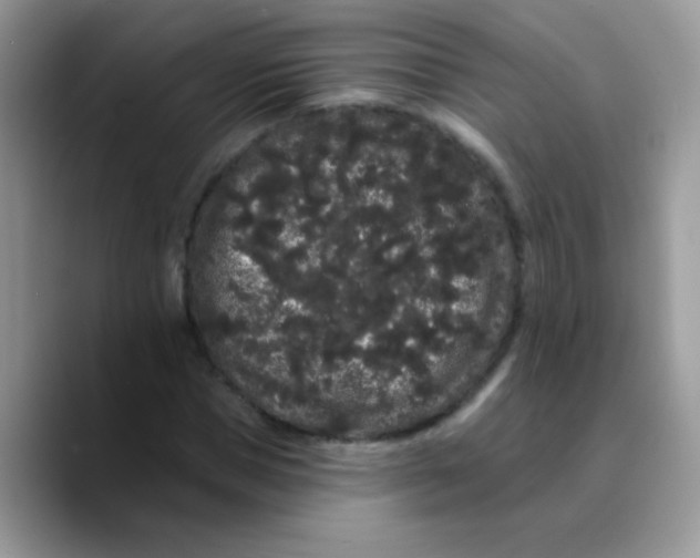 X0000089760921200707201939