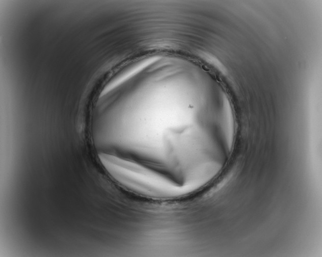 X0000089760922200707201939