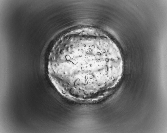 X0000089760923200707201939