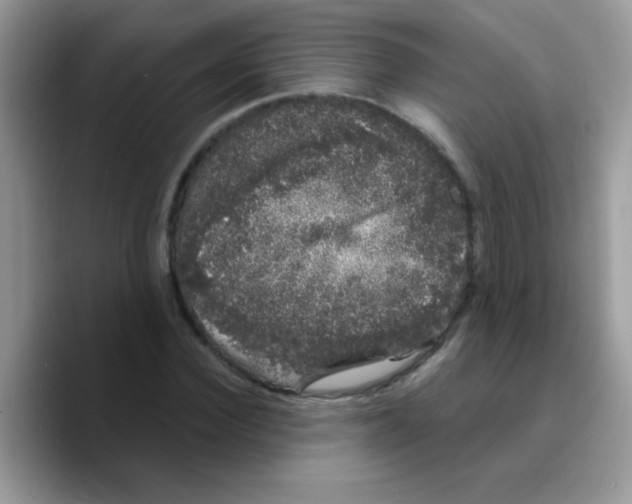 X0000089760924200707201939