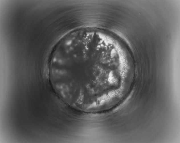 X0000089760925200707201939