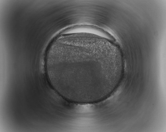 X0000089760926200707201939