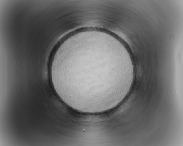 X0000089760927200707201939