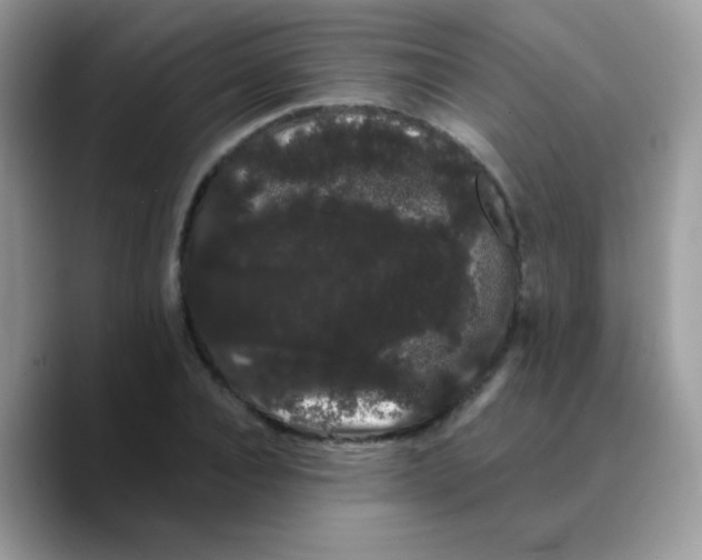X0000089760928200707201939
