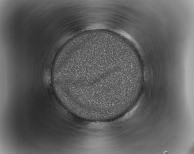 X0000089760929200707201939