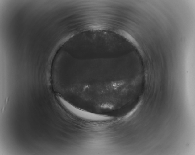 X0000089760930200707201939