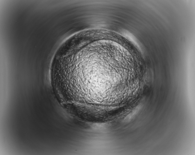 X0000089760932200707201939