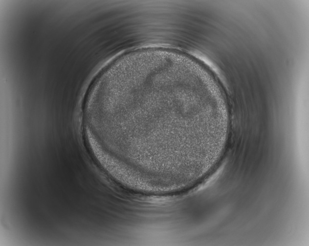 X0000089760933200707201939