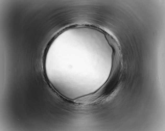 X0000089760935200707201939