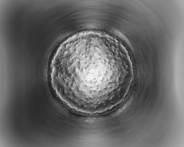 X0000089760938200707201939