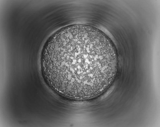 X0000089760939200707201939