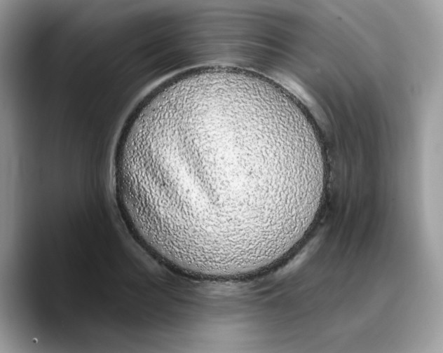 X0000089760940200707201939
