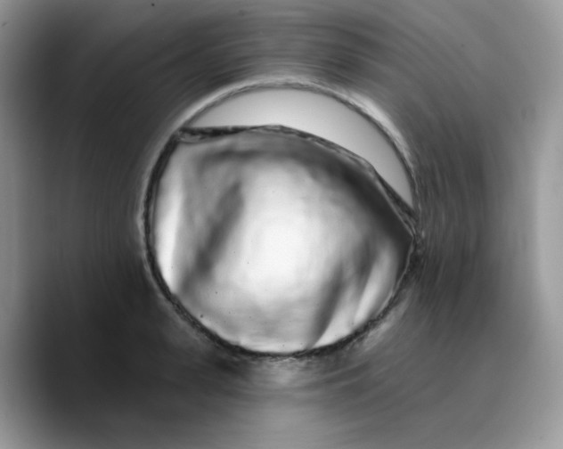 X0000089760943200707201939