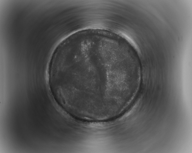 X0000089760944200707201939