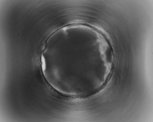 X0000089760945200707201939