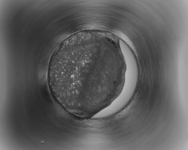 X0000089760946200707201939
