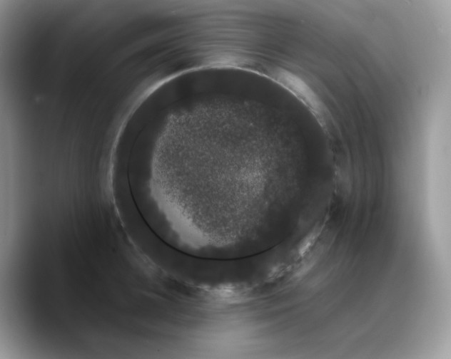 X0000089760948200707201939