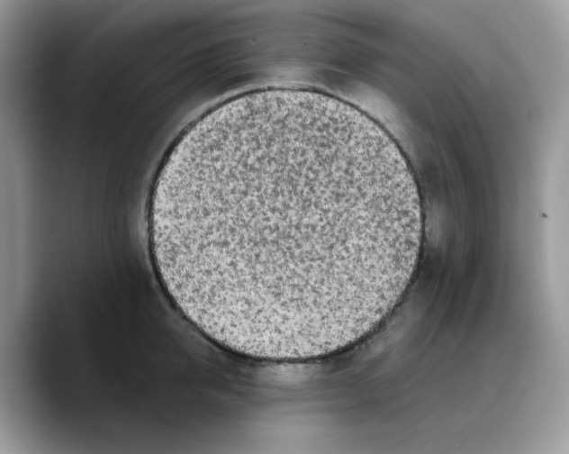 X0000089760950200707201939