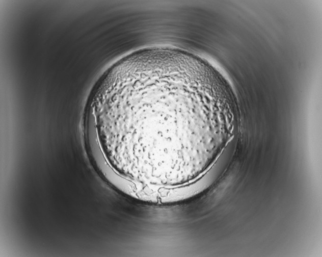 X0000089760951200707201939