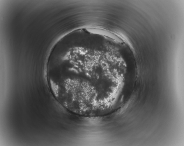 X0000089760952200707201940