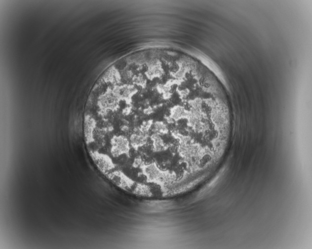 X0000089760953200707201940