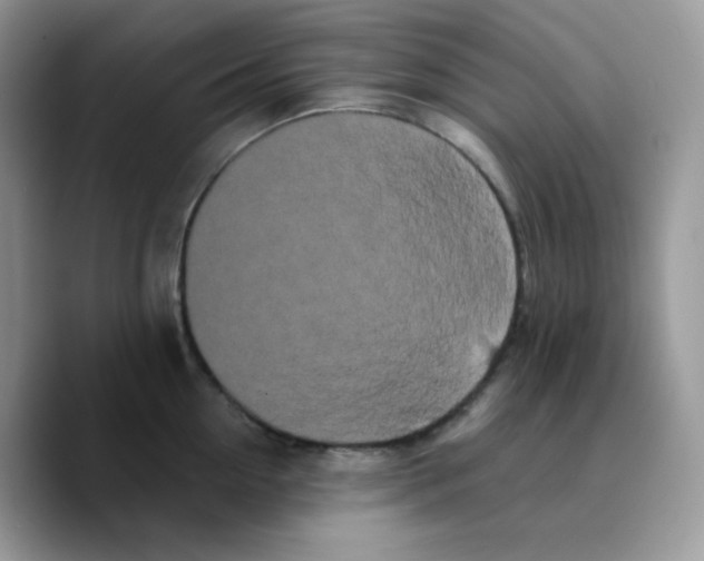 X0000089760954200707201940