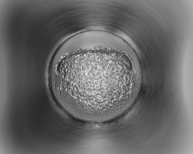 X0000089760955200707201940