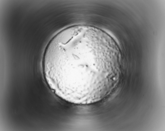 X0000089760959200707201940