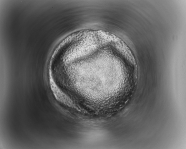 X0000089760960200707201940